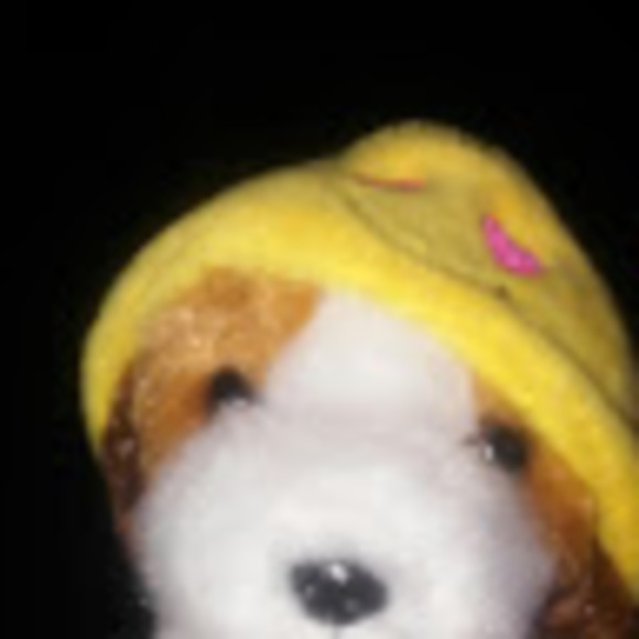 Meet your Posher, Rainbow explore - Picture 1 of 1